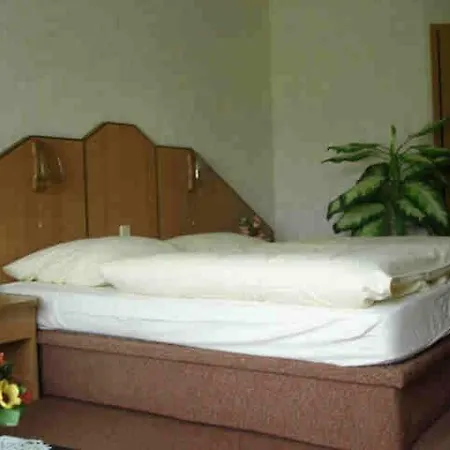 Richzenhainer-hof Hotel