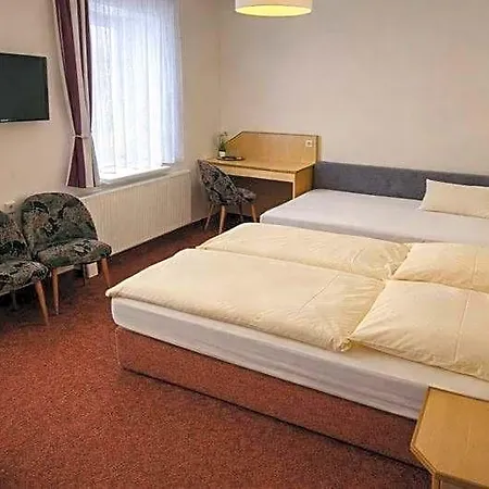 Richzenhainer-hof Отель *