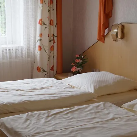 Hotel Richzenhainer-hof *